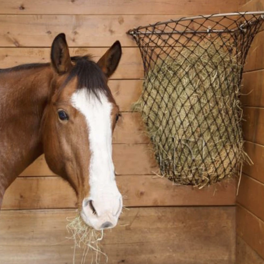 Hay Chix Hay Rack Hanson Horse Ranch Farrier Supply Store